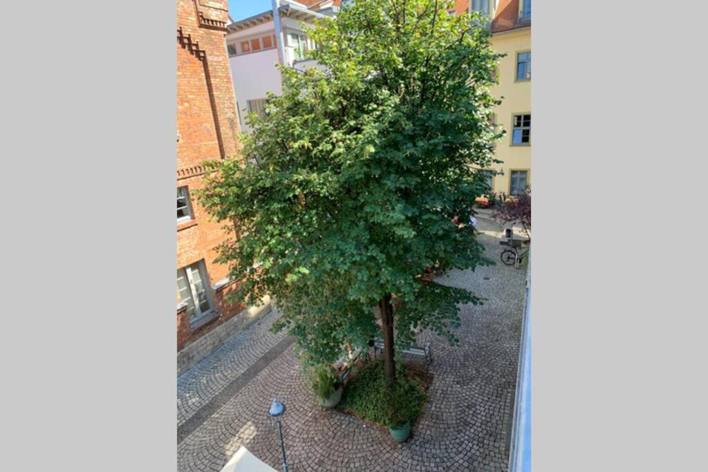 Altstadt, Fewo Im Markthof Am Dom Erfurt Kültér fotó